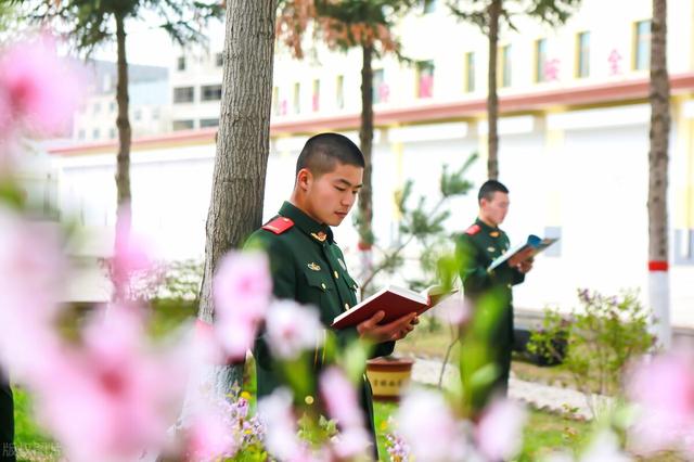 柳絮包子素馅做法大全，柳絮包子素馅做法大全视频