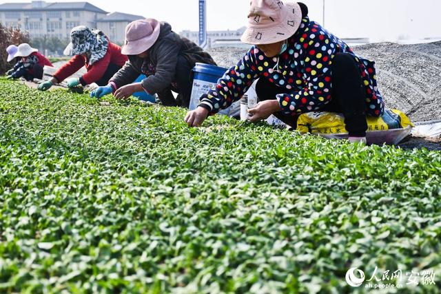 香甜的什么填空题，香甜的什么填名词