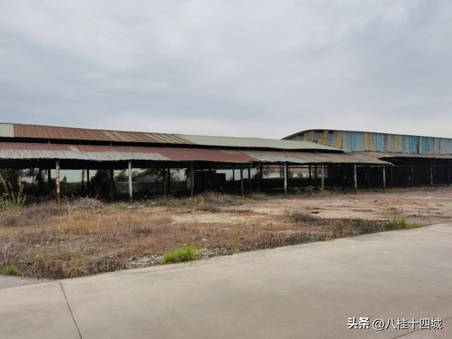 5分拍卖最后一分钟可以出价吗，95分拍卖最后的时间"