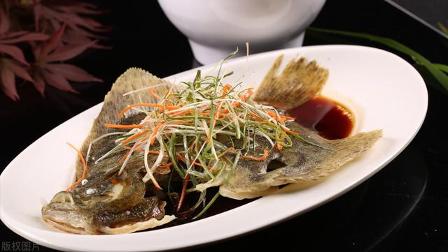 什么鱼好养_家庭养鱼，什么鱼好养_家庭养鱼冷水鱼