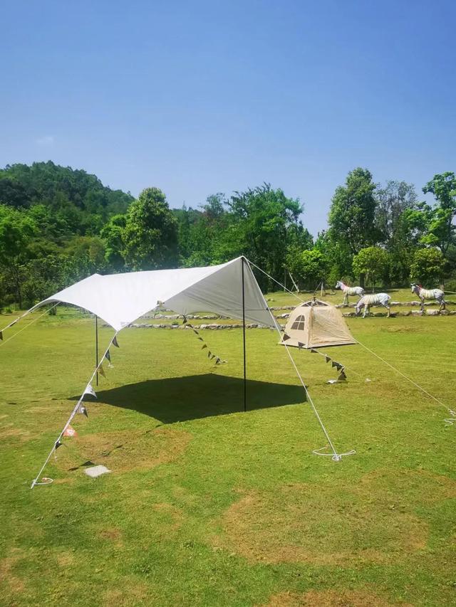 我是爸爸的情人的说说，我是爸爸的情人的说说句子