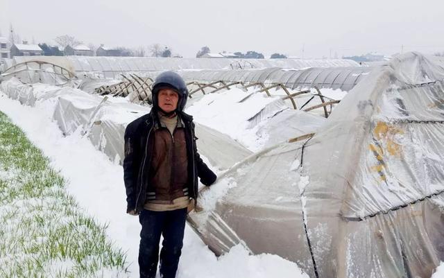 三月打雷下雪是什么征兆，二月打雷是什么征兆