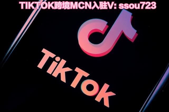 tiktok跨境电商入驻条件，tik_tok跨境电商