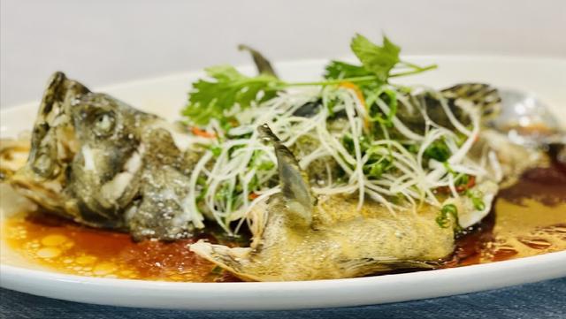 什么鱼好养_家庭养鱼，什么鱼好养_家庭养鱼冷水鱼