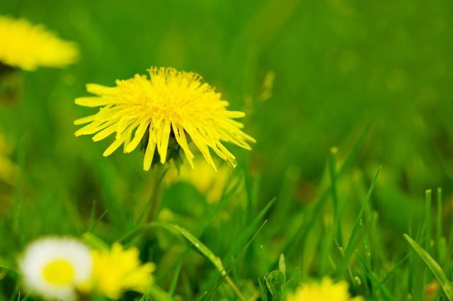 相逢何必曾相识，同是天涯沦落人！