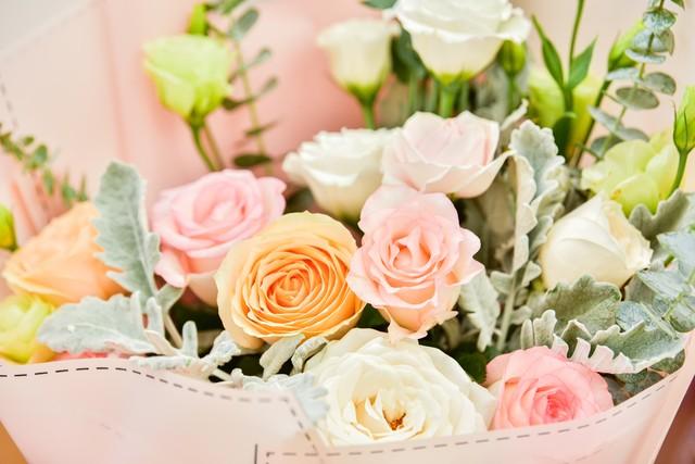 玫瑰的颜色有几种，玫瑰的颜色有几种和图片