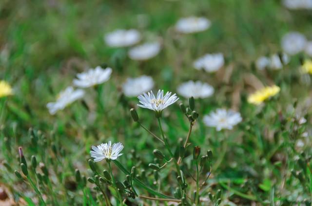 相逢何必曾相识，同是天涯沦落人！