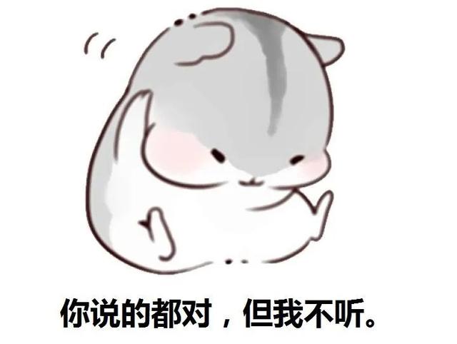 历史的历怎么组词0，历史的历怎么组词组词