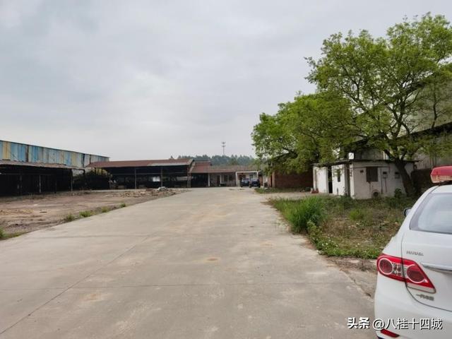 5分拍卖最后一分钟可以出价吗，95分拍卖最后的时间"