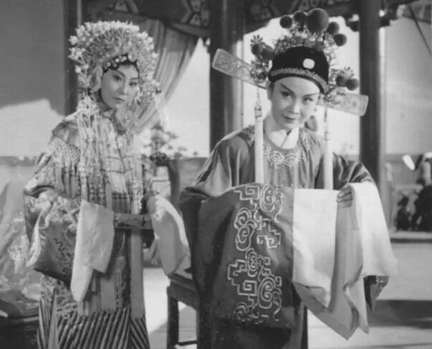 黄梅戏为救李郎离家园歌词，黄梅戏为救李郎离家园歌词是什么