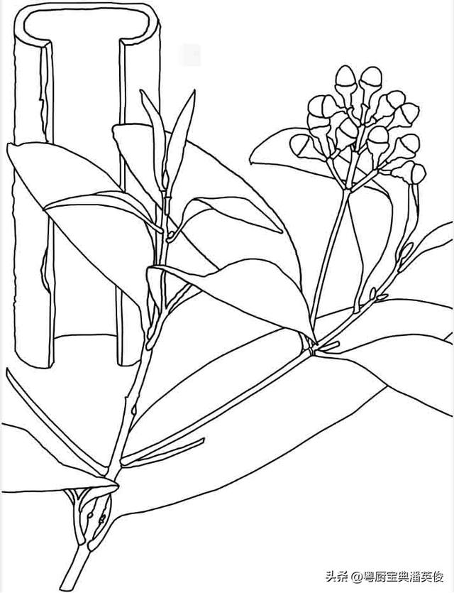 桂皮可以代替肉桂吗_煮红酒，桂皮可以代替肉桂吗中医怎么认为是中药