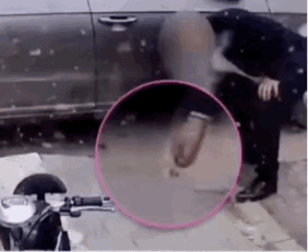 柳絮包子素馅做法大全窍门，柳絮包子素馅做法大全图解