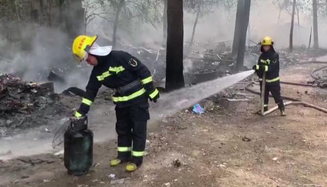 柳絮包子素馅做法大全窍门，柳絮包子素馅做法大全图解