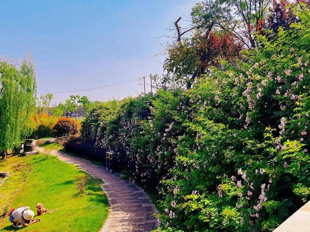 我是爸爸的情人的说说，我是爸爸的情人的说说句子