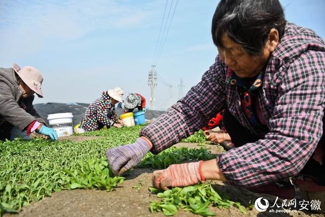 香甜的什么填空题，香甜的什么填名词