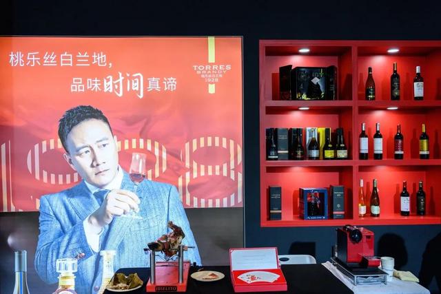 野玫瑰桃乐丝是什么意思，野玫瑰桃乐丝寓意