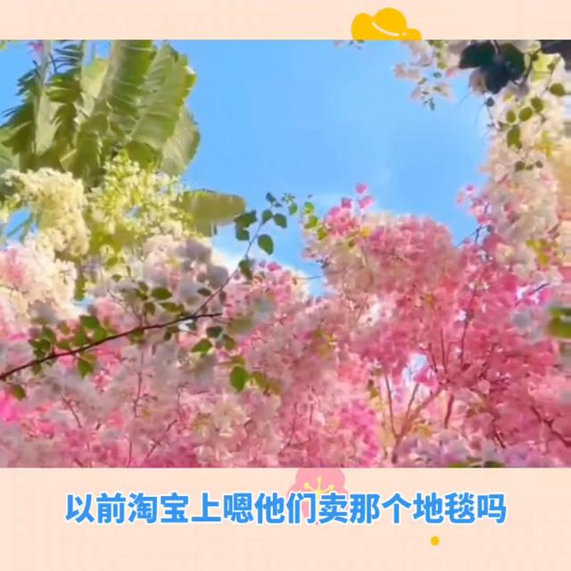 安利营销手段有哪些内容,安利营销方式