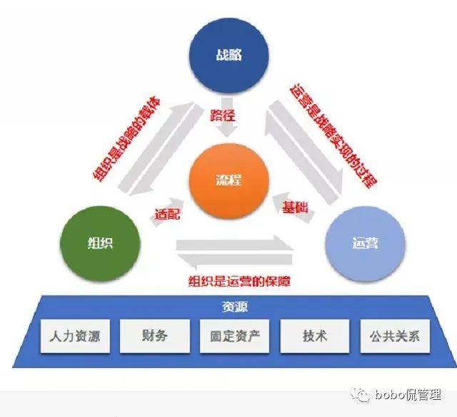 项目运营包括哪些内容,项目运营是什么意思