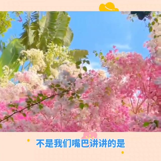 安利营销手段有哪些内容,安利营销方式