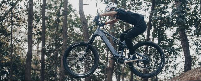 国内最好的电助力自行车品牌,国内最好的电助力自行车品牌有哪些