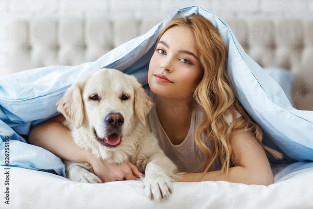 猎犬品种排名图片,猎犬品种排名图片_打猎