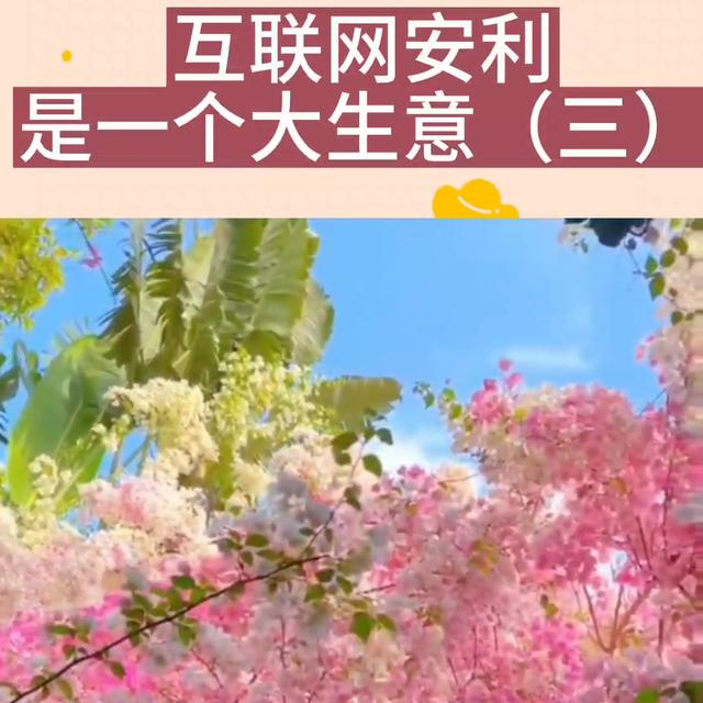 安利营销手段有哪些内容,安利营销方式