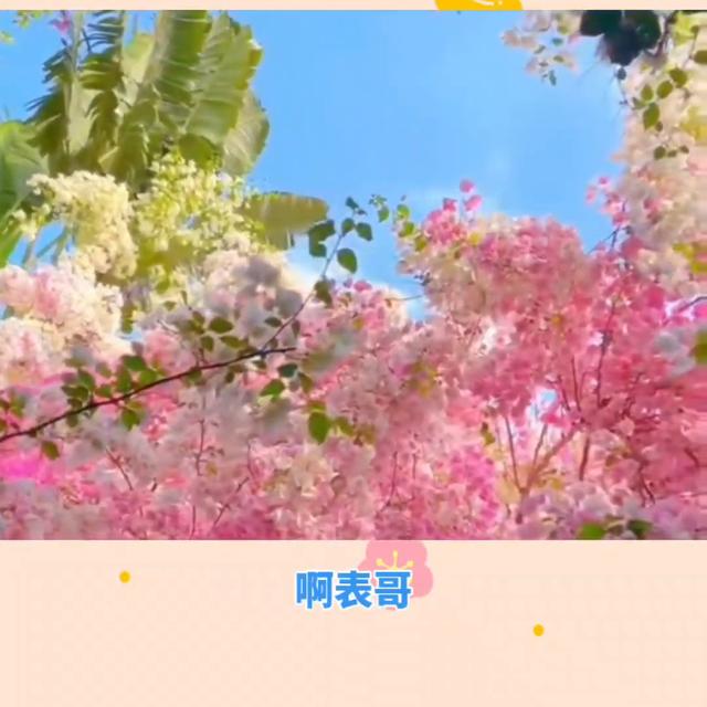 安利营销手段有哪些内容,安利营销方式