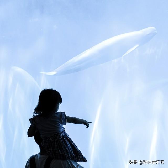 抖音一个女的翻唱很火的歌老男孩,抖音一个女的翻唱很火的歌老男孩是谁